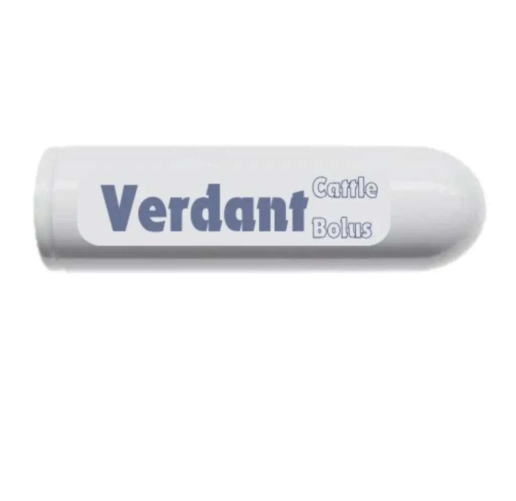 VERDANT CATTLE.webp
